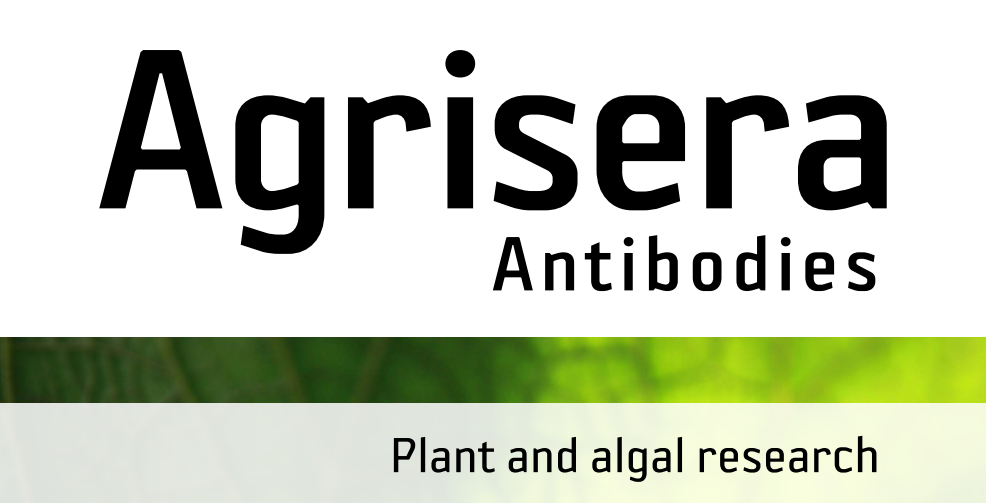 Agrisera MicroRNA相關研究植物蛋白抗體火熱促銷中！